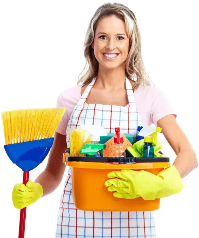 Professional cleaning services